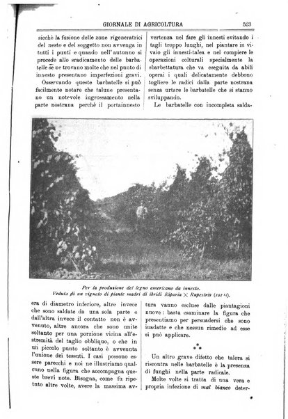 L' Italia agricola giornale di agricoltura