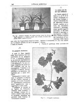 giornale/TO00210416/1912/unico/00000686