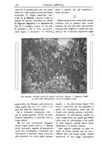 giornale/TO00210416/1912/unico/00000690