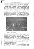 giornale/TO00210416/1912/unico/00000721