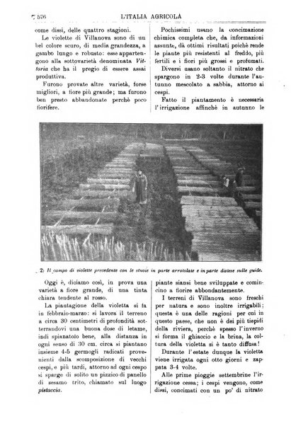 L' Italia agricola giornale di agricoltura