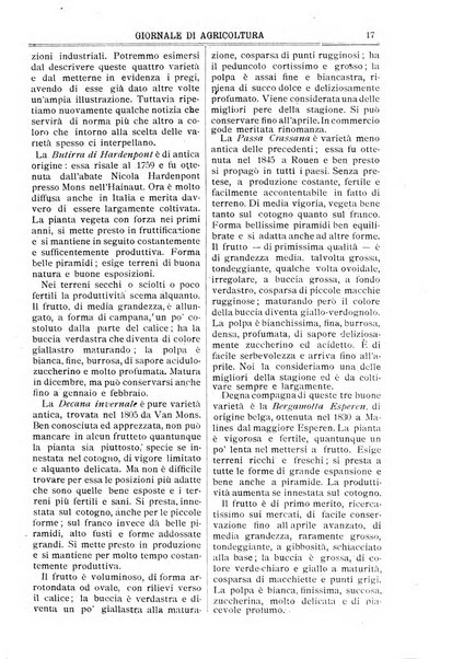 L' Italia agricola giornale di agricoltura