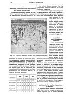 giornale/TO00210416/1913/unico/00000048