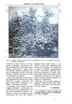 giornale/TO00210416/1913/unico/00000055