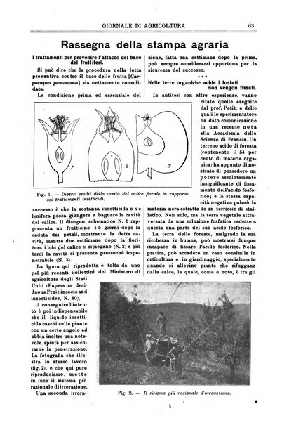 L' Italia agricola giornale di agricoltura