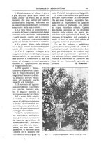 giornale/TO00210416/1913/unico/00000089