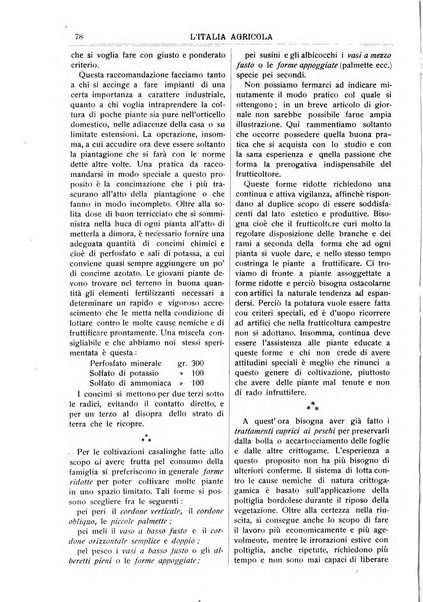 L' Italia agricola giornale di agricoltura