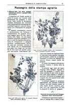 giornale/TO00210416/1913/unico/00000113