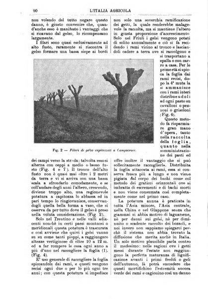 L' Italia agricola giornale di agricoltura