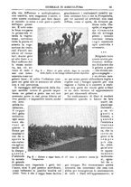 giornale/TO00210416/1913/unico/00000119