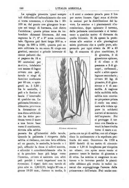 L' Italia agricola giornale di agricoltura