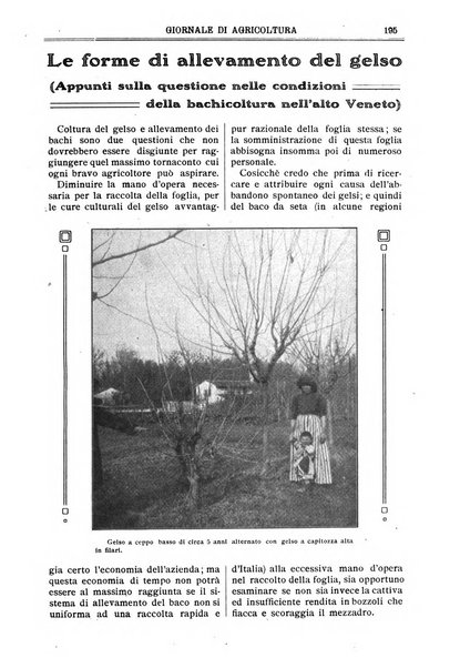 L' Italia agricola giornale di agricoltura