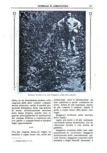 L' Italia agricola giornale di agricoltura