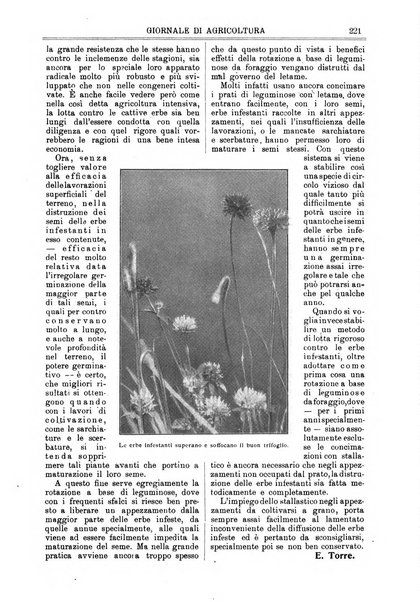 L' Italia agricola giornale di agricoltura