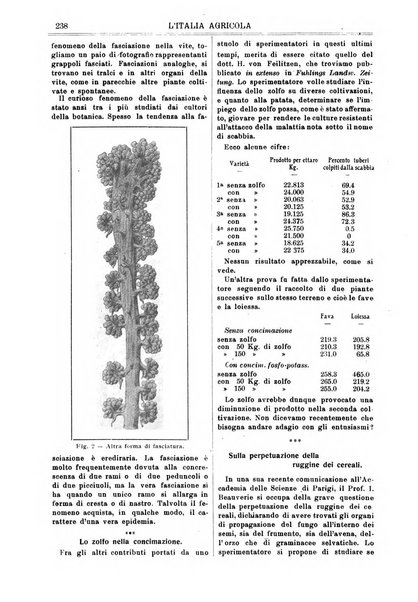 L' Italia agricola giornale di agricoltura