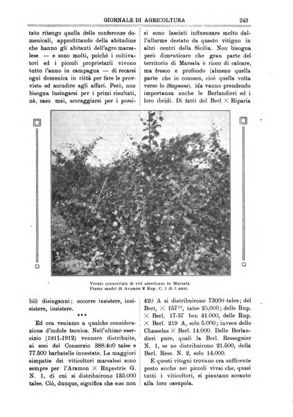 L' Italia agricola giornale di agricoltura