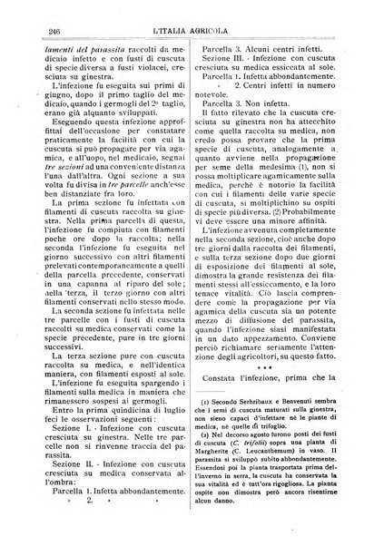 L' Italia agricola giornale di agricoltura