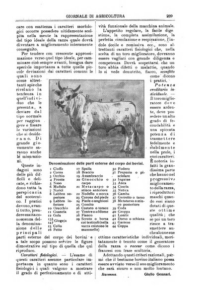 L' Italia agricola giornale di agricoltura