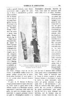 giornale/TO00210416/1913/unico/00000373