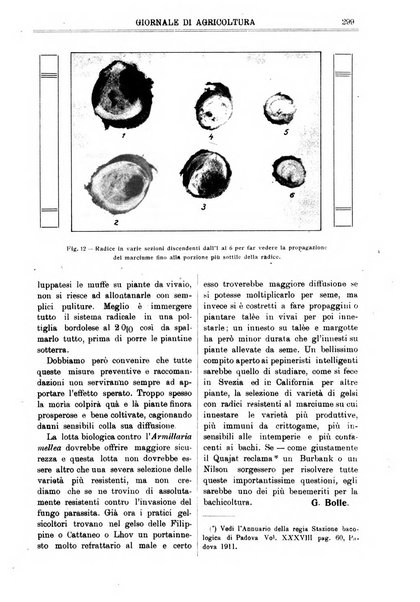 L' Italia agricola giornale di agricoltura