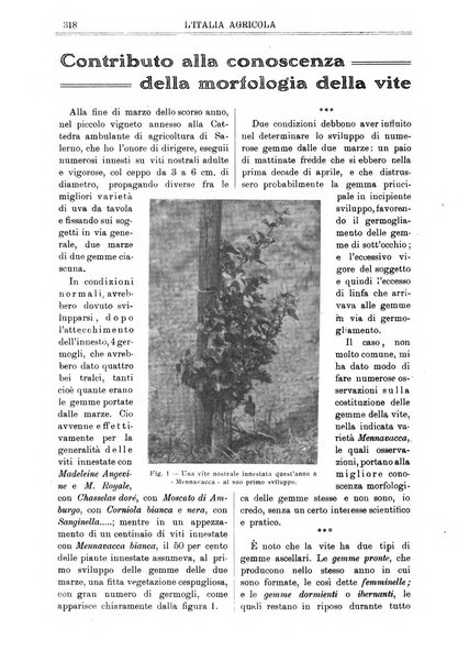 L' Italia agricola giornale di agricoltura