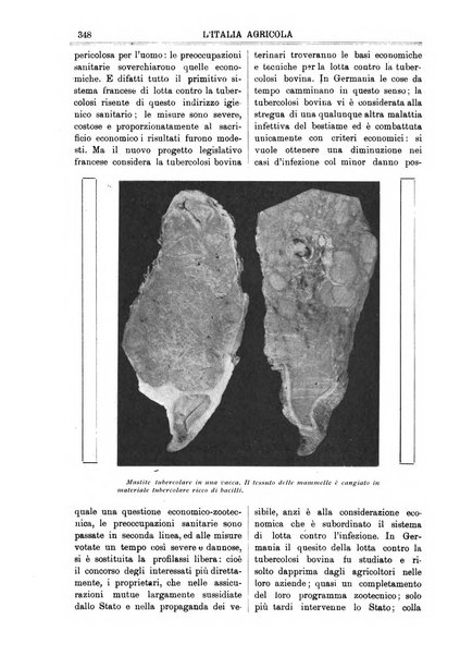 L' Italia agricola giornale di agricoltura