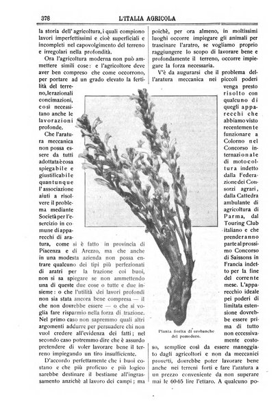 L' Italia agricola giornale di agricoltura