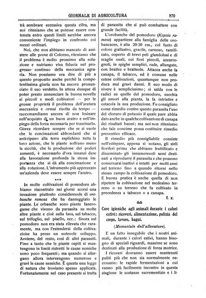 L' Italia agricola giornale di agricoltura