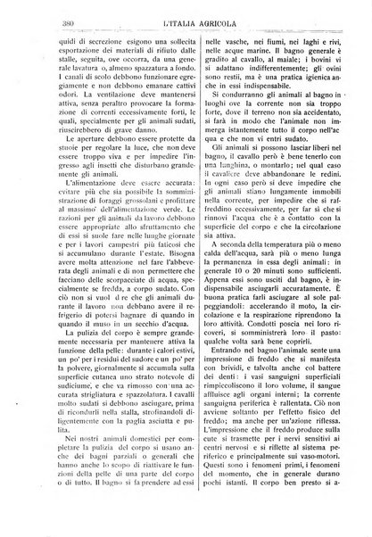 L' Italia agricola giornale di agricoltura