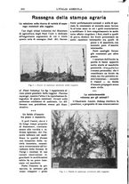 giornale/TO00210416/1913/unico/00000494