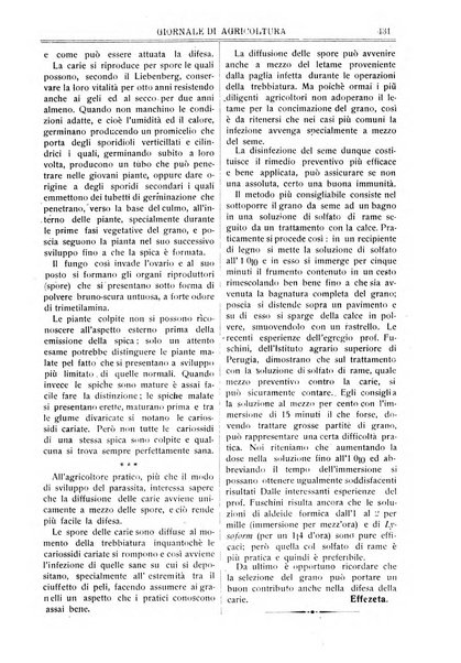 L' Italia agricola giornale di agricoltura