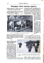 giornale/TO00210416/1913/unico/00000556