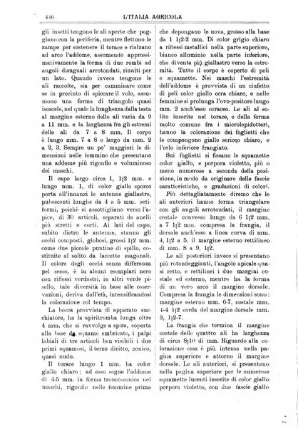 L' Italia agricola giornale di agricoltura