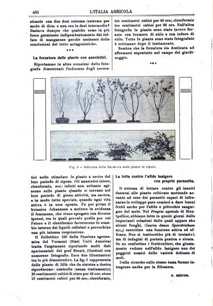 L' Italia agricola giornale di agricoltura