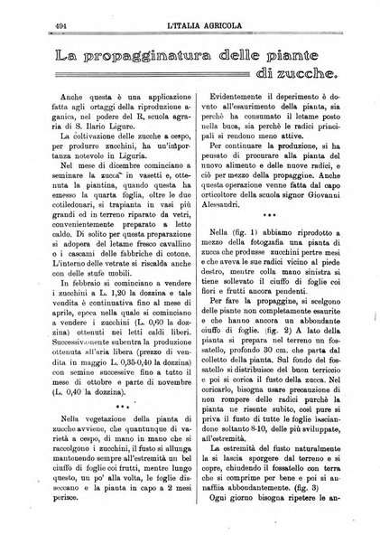 L' Italia agricola giornale di agricoltura