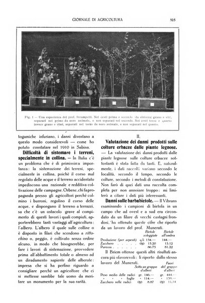 L' Italia agricola giornale di agricoltura