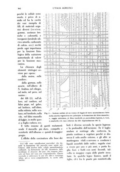 L' Italia agricola giornale di agricoltura