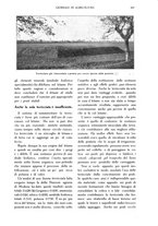 giornale/TO00210416/1913/unico/00000705