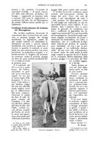 giornale/TO00210416/1913/unico/00000715