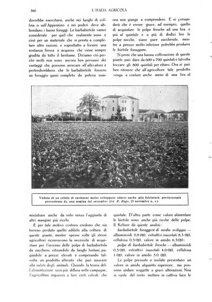 L' Italia agricola giornale di agricoltura