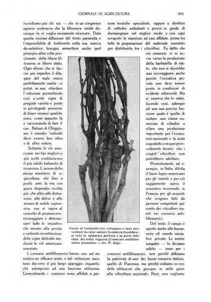 L' Italia agricola giornale di agricoltura