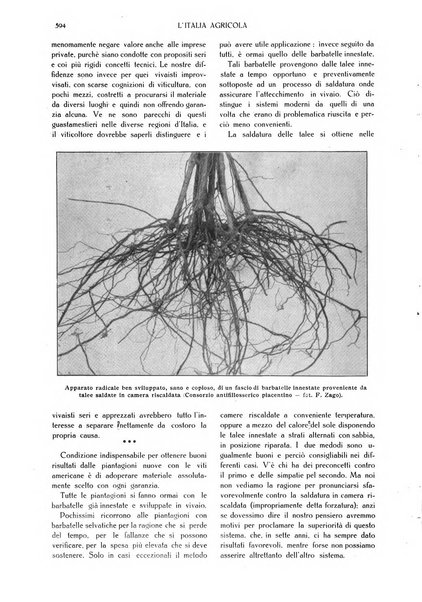 L' Italia agricola giornale di agricoltura