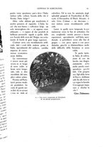 giornale/TO00210416/1914/unico/00000063