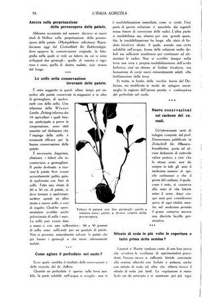 L' Italia agricola giornale di agricoltura