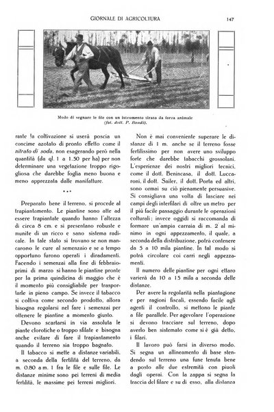 L' Italia agricola giornale di agricoltura