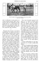 giornale/TO00210416/1914/unico/00000173