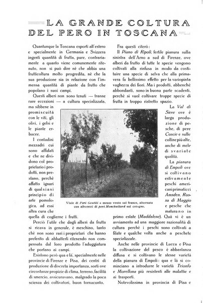 L' Italia agricola giornale di agricoltura