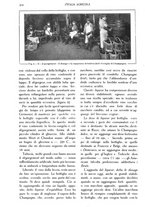 giornale/TO00210416/1914/unico/00000246