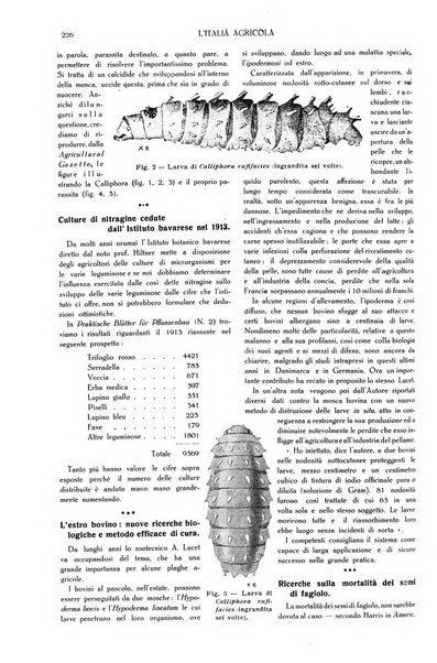 L' Italia agricola giornale di agricoltura