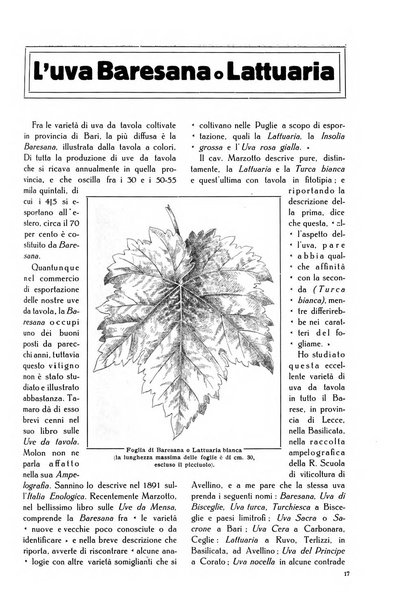 L' Italia agricola giornale di agricoltura